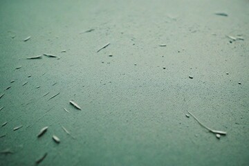 rain drops on window