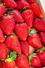 strawberry fresh ripe red berries Cooking appetizer meal food snack on the table copy space food background rustic top view keto or paleo diet vegetarian vegan food