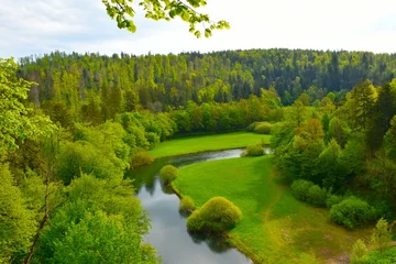 Fototapete Rund Wald Fluss View of Rak river at Rakov Škocjan flowing across plains in Notranjska, Slovenia  © kato08