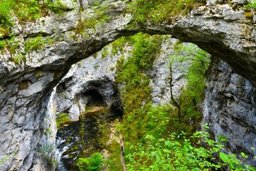 View of Zelške jame bellow the little natural bridge karst formation at Rakov Škocjan in Notranjska, Slovenia