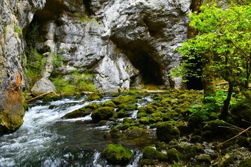 View of Rak river flowing from a karst cave at Rakov Škocjan in Notranjska, Slovenia