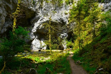 Zelške jame karst dolina at Rakov Škocjan in Notranjska, Slovenia