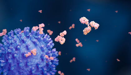 Antibodies responding to a virus