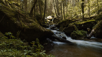 Mountain river in the forest with rocks and moss in the foreground