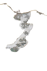 Moisture stains and plaster in poor condition, peeling paint