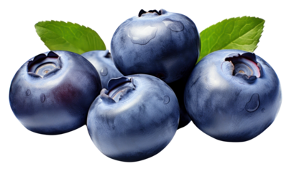PNG  Four Blueberries blueberry fruit plant.