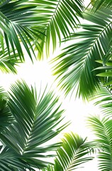 a group of palm leaves