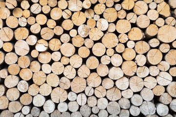 The firewood, which are very necessary in the winter. Wooden log texture