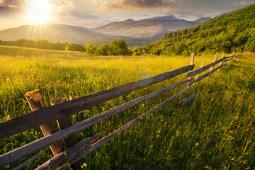 wooden fence across the grassy rural field at sunset. mountainous countryside scenery of ukraine in...