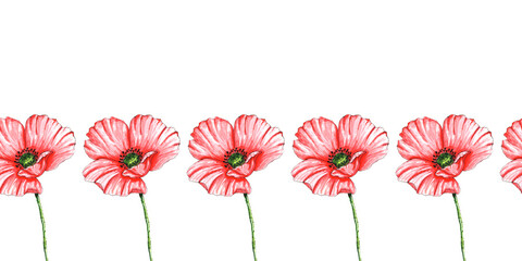 Floral seamless border with red poppies