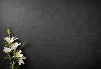 white lilies on black background for obituary notice, funeral announcement, necrology