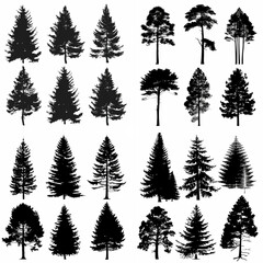 Obraz premium black tree silhouette set pure badge eco outline recreation breath emblem label protection graphic pine trunk woodland
