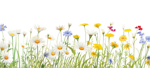 PNG  Aisy border daisy backgrounds outdoors.