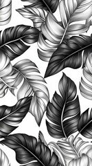 Monochrome Drawing of Tropical Leaves on White Background