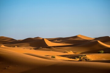 Beautiful shot of sand dunes with bushes and a clear sky in the background at daytime