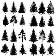 black tree silhouette set pure badge eco outline recreation breath emblem label protection graphic pine trunk woodland