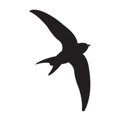 swallow icon vector illustration design template