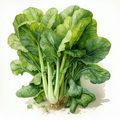 Fototapeta premium Watercolor Bok choy Illustration, Generative Ai