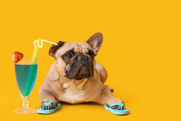 Cute French bulldog with flip-flops and cocktail on yellow background
