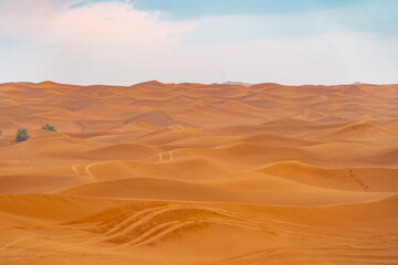 Red Desert Safari with sand dune in Dubai City, United Arab Emirates or UAE. Natural landscape...