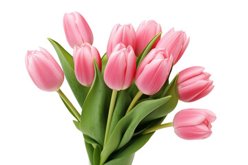 A bouquet of pink tulips is arranged in a vase, white background, transparent background