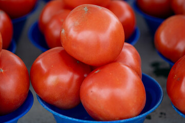 Organic tomatoes for sale