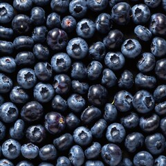 Fresh blueberry as healthy food background. Top view