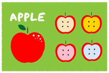 葉つきの赤いリンゴとカラフルな断面の赤いリンゴのイラスト　red apple and colorful sliced  red apple ollistration