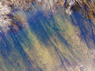 Aerial top down of murky pond near Grunewald forest on a sunny spring day in Berlin