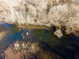 Aerial top down of river and Grunewald forest on a sunny spring day in Berlin
