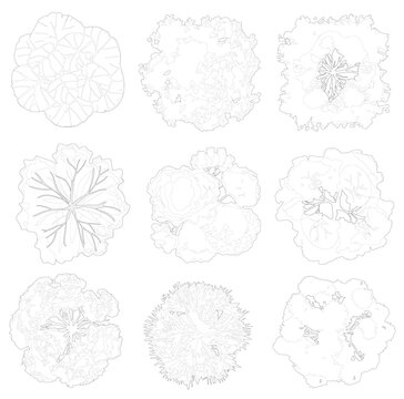 top view trees, cad outlined set of trees