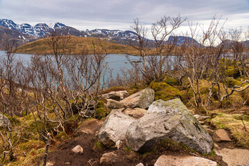 nature sceneries inside the Lofoten Islands, Norway, during the spring season