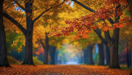 Vibrant autumn foliage backdrop.