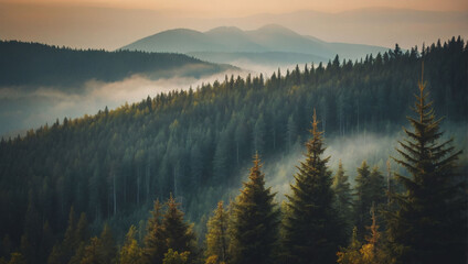 Vintage retro-style misty landscape featuring a dense fir forest.