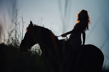 Silhouette of a woman riding a horse on in a tall grass during a sunset