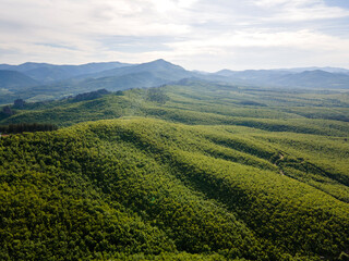 Aerial view of Belogradchik Rocks, Bulgaria