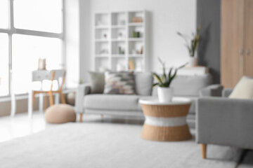 View of blurred living room with grey sofas, plants and table