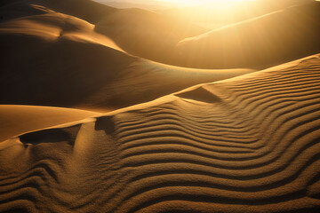 Sunset light illuminating dunes in the desert