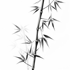 Monochrome Bamboo Plant