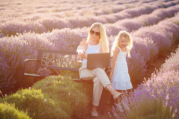 Lavender field. Woman sitting with child girl on bench among lavender flowers and working on laptop...