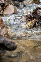 Natural Stream with flowing water