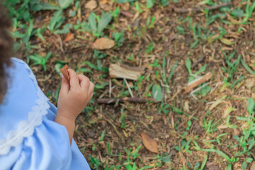 Little girl hand holding a cookie