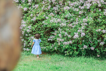 Little Girl in the Garden