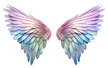 Obraz premium PNG Wings iridescent angel white background lightweight.