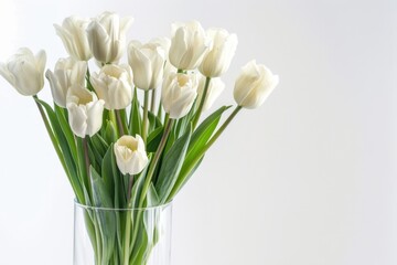 A vase of white tulips sits on a white background