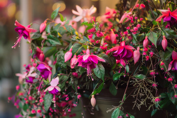 Naklejka premium An image depicting a stunning floral arrangement featuring fuchsia flowers, emphasizing the use of fuchsias in floral design - Generative AI