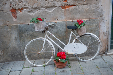Vase of flowers placed on the bicycle