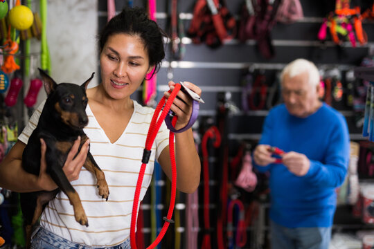 Positive asian woman choosing and buying leash for her doberman pinscher dog at a pet shop