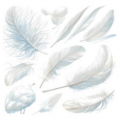 A sophisticated ensemble of white swan feathers, artistically isolated on a pristine background, perfect for luxury and elegance themes.
