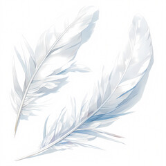 Beautiful White Swan Feathers Glistening with Natural Texture - Ideal for High-End Fashion, Jewelry, and Lifestyle Graphics